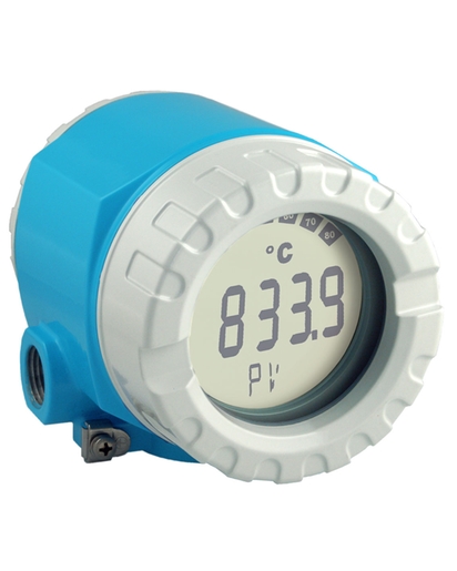 E+H現場溫度變送器